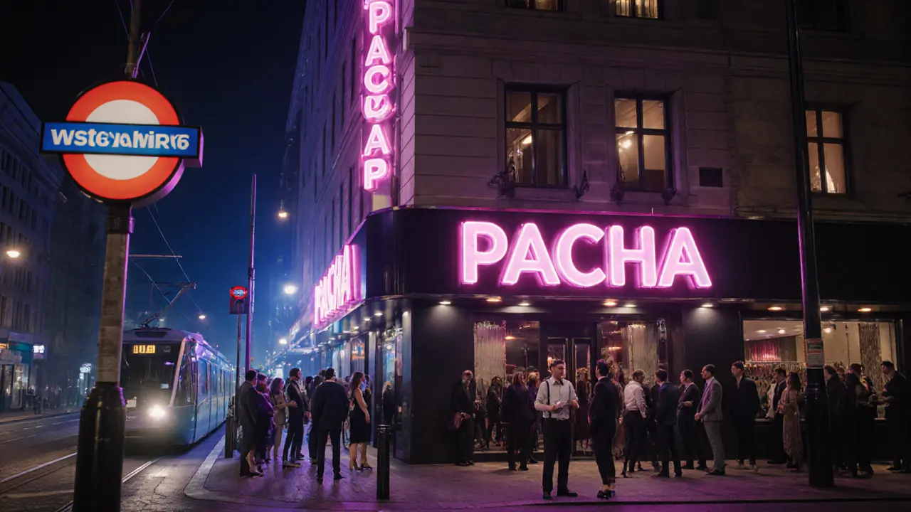 Pacha Munich Nights Packed with Fun - Your Ultimate Nightlife Guide