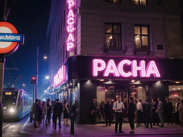 Pacha Munich Nights Packed with Fun - Your Ultimate Nightlife Guide